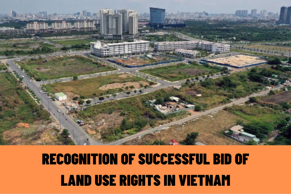 When do I have to pay land levies and land rents upon recognition of successful bid of land use rights in Vietnam?