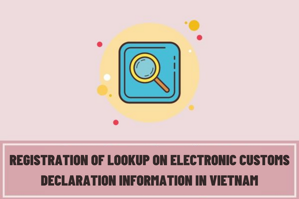 Vietnam: What is the registration form for registration of lookup on electronic customs declaration information via messaging form?