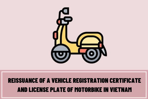 What is the application for reissuance of a vehicle registration certificate and license plate of motorbike at the commune-level police station in Vietnam?