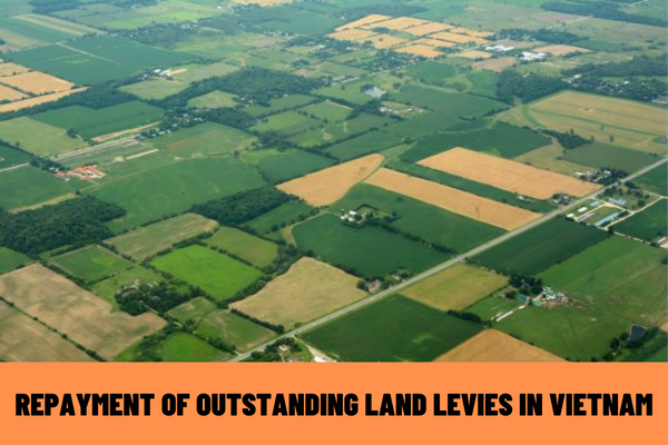 Can I mortgage or contribute capital with land use rights when I owe land use levy? How to conduct repayment of outstanding land levies in Vietnam?