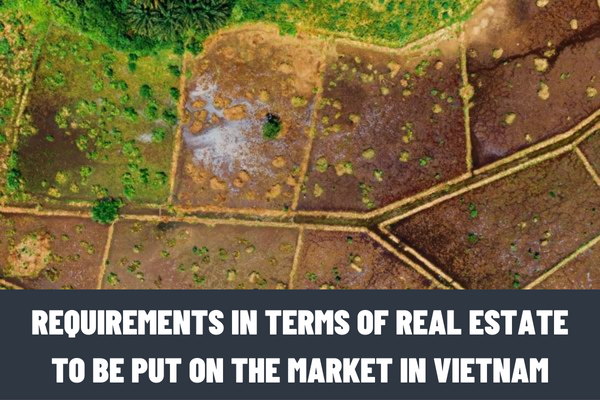 What are the requirements in terms of real estate to be put on the market? What are the eligibility criteria for organizations and individuals to conduct real estate trading in Vietnam?