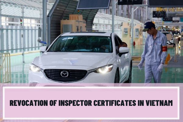 In what cases are the inspector certificates revoked? What are the procedures for revocation of inspector certificates in Vietnam?