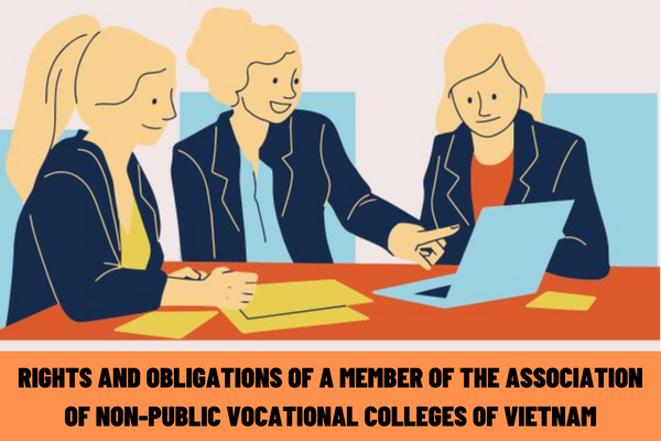 What are the rights and obligations of a member of the Association of Non-Public Vocational Colleges of Vietnam?