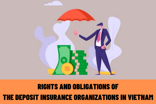 What are the rights and obligations of the deposit insurance organizations in Vietnam? What are the rights and obligations of the insured persons of deposit in Vietnam?