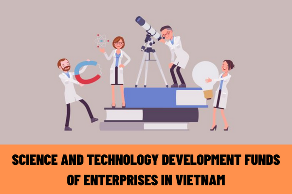 What are the investment contents of science and technology development funds of enterprises in Vietnam?