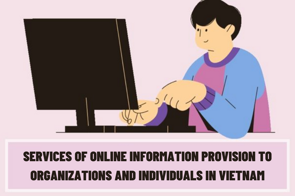 When are services of online information provision to organizations and individuals not considered online public services in Vietnam?