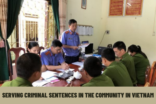 Who is serving criminal sentences in the community in Vietnam? What are the principles for the criminal judgment enforcement in the community in Vietnam?