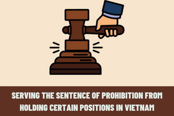 Vietnam: Can a person serving the sentence of prohibition from holding certain positions continue to perform prohibited jobs after serving the sentence?