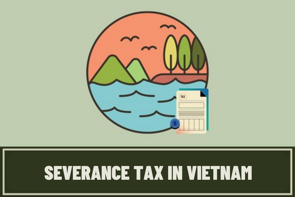 Instructions on how to fill out the severance tax declaration form No. 01/TAIN? Who is subject to severance tax in Vietnam?