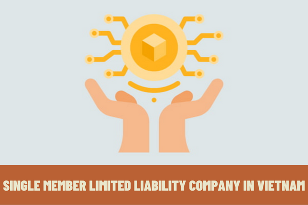 What are the regulations on the capital contribution to establish a single member limited liability company in Vietnam? How can the owner of a single member limited liability company withdraw capital?