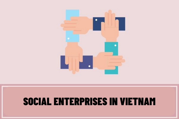 How to conduct the application for registration of a social enterprise which is converted from a social protection establishment in Vietnam?