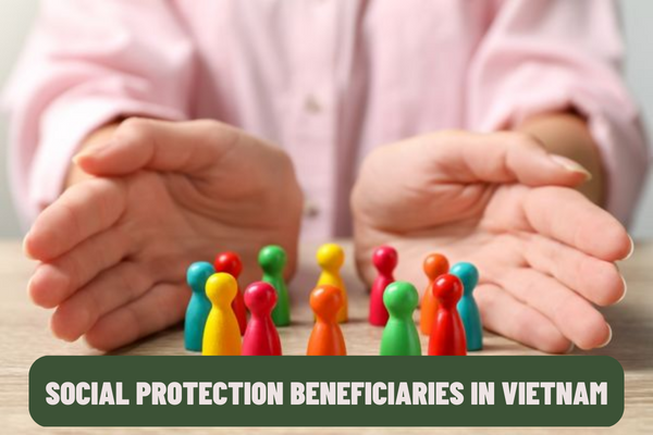 What is the latest form of declaration of care and nurture of social protection beneficiaries in Vietnam?