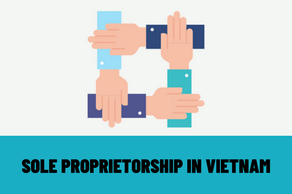 Vietnam: How to handle when the owner of a sole proprietorship is banned by the Court from doing certain jobs in the enterprise’s business lines?