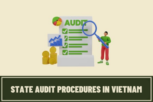 Vietnam: What are the steps in the state audit procedures? What requirements must the audit delegation and members of the audit delegation meet?