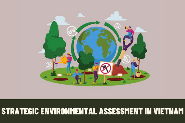 Which subjects are required to undergo strategic environmental assessment in Vietnam? What is included in the contents of strategic environmental assessment of the planning?