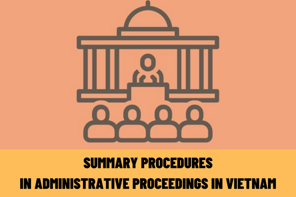 What are summary procedures in administrative proceedings in Vietnam? What should be included in the decision to bring an administrative case to settlement according to summary procedures in Vietnam?