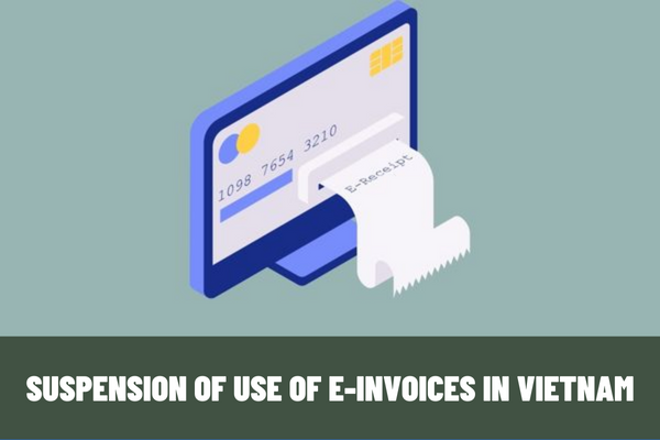 When must enterprises, business entities, other organizations, household or individual businesses in Vietnam suspend their use of e-invoices?