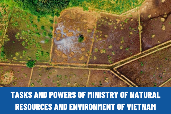 What are the tasks and powers of the Ministry of Natural Resources and Environment of Vietnam? How many units does the Ministry of Natural Resources and Environment of Vietnam have?