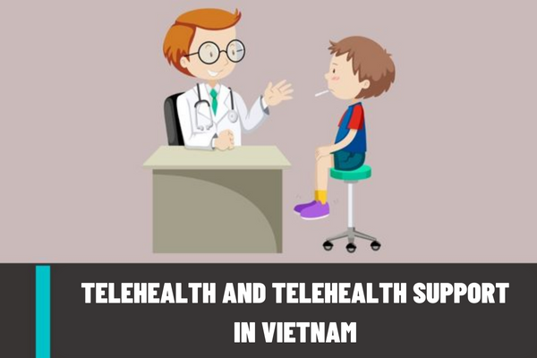 How to carry out telehealth and telehealth support in Vietnam? What are mobile healthcare services in Vietnam?