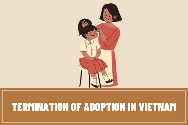 When is adoption terminated? Who is entitled to request termination of adoption in Vietnam?