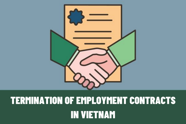 Vietnam: If I have applied for resignation, can I withdraw the application? How does an employee terminate an employment contract in accordance with the law?