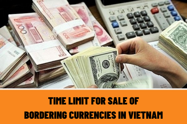 What are the regulations on time limit for sale of bordering currencies and required cash balance in Vietnam?