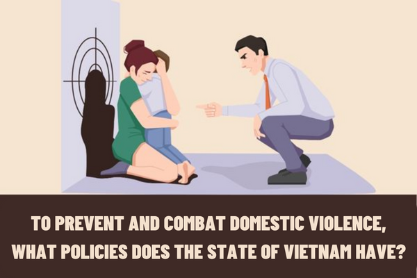 To prevent and combat domestic violence, what policies does the State of Vietnam have? What measures are in place to prevent domestic violence in Vietnam?