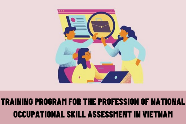 What are the contents of the training program for the profession of national occupational skill assessment in Vietnam?