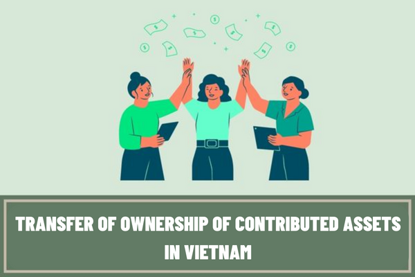 Vietnam: What are the regulations on transfer of ownership of contributed assets of the company's members?