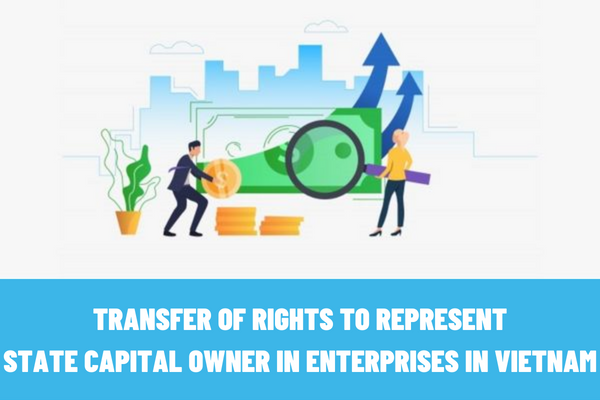 What are the regulations on the rules for organizing transfer of rights to represent state capital owner in enterprises in Vietnam?