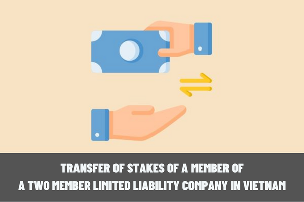 What are the regulations on transfer of stakes of a member of a two member limited liability company in Vietnam?