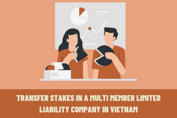 How to transfer stakes in a multi member limited liability company in Vietnam?