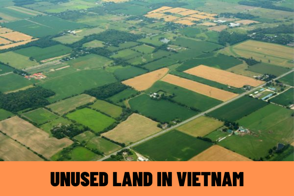 What is unused land in Vietnam according to the law? What are the regulations on the measures to put unused land to use?