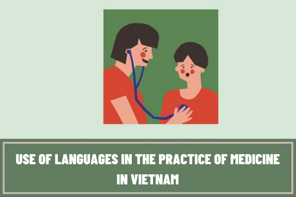 Vietnam: Is it mandatory to have a language interpreter when usage of different languages in the practice of medicine in all cases?