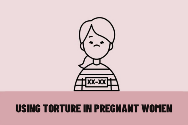 Vietnam: Person who uses torture in pregnant women will result in heavier criminal penalties than using torture on normal people?