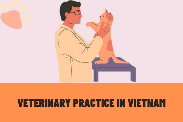 What forms of veterinary practice are there? What is the application and procedures for granting a veterinary practice certificate in Vietnam?