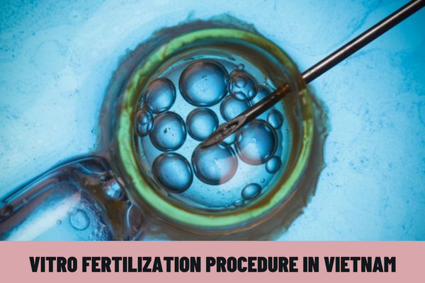 What are the procedures for preparing sperms for, egg retrieval for in vitro fertilization procedure in Vietnam?