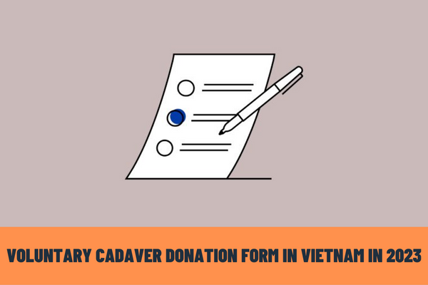 What is the latest voluntary cadaver donation form in Vietnam in 2023? What are the procedures for registration of cadaver donation in Vietnam?