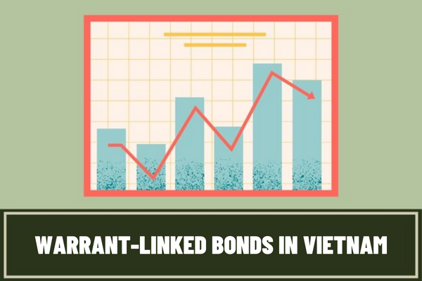 What are the requirements for offering warrant-linked bonds in the Vietnamese market? Who can buy warrant-linked bonds in the Vietnamese market?