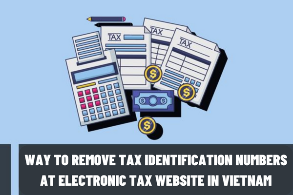 Vietnam: What is the simplest way to remove TINs at the electronic tax website? What regulations must the use of TINs comply with?