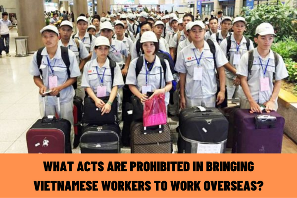 What acts are prohibited in bringing Vietnamese workers to work overseas?