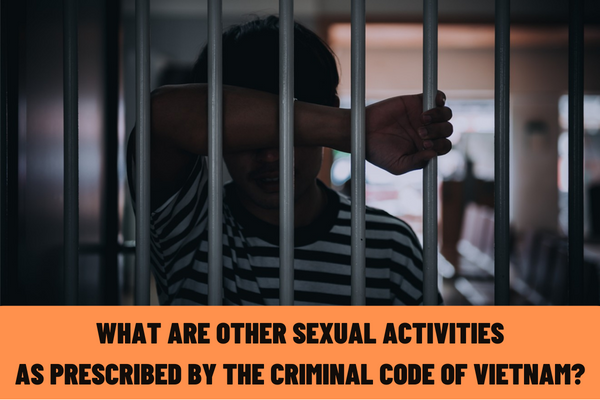 What are other sexual activities as prescribed by the Criminal Code of Vietnam?