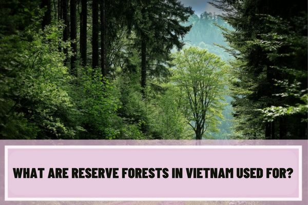 What are reserve forests in Vietnam used for? What are the regulations on the use of forest products in reserve forests in Vietnam?