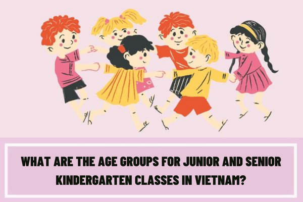 What are the age groups for junior and senior kindergarten classes in Vietnam?