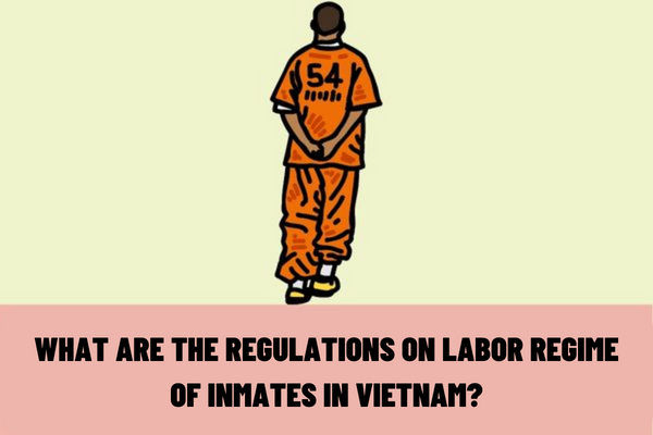 What are the regulations on labor regime of inmates in Vietnam? How does the place of detention organize work for inmates in Vietnam?