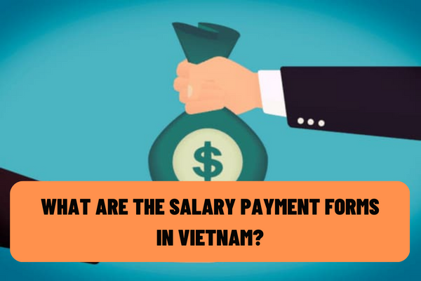 What are the salary payment forms in Vietnam? What is the salary payment time for employees in case of force majeure event?