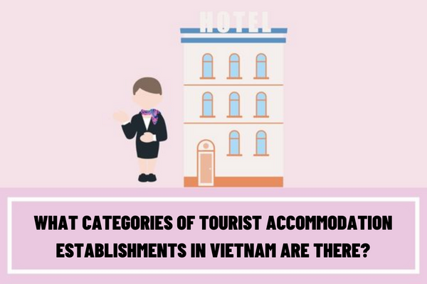 What categories of tourist accommodation establishments in Vietnam are there? What are the conditions for tourist accommodation service business according to current regulations?