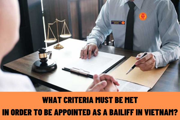 What criteria must be met in order to be appointed as a bailiff? What is the application for participation in bailiff refresher training course in Vietnam?