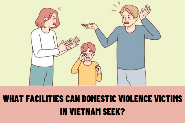What facilities can domestic violence victims seek help with prevention and combat against domestic violence in Vietnam?