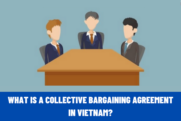 What is a collective bargaining agreement in Vietnam? Who are the subjects of survey of sectoral collective bargaining agreements in Vietnam?